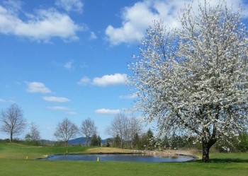 Golfplatzbau in Bonn 2015